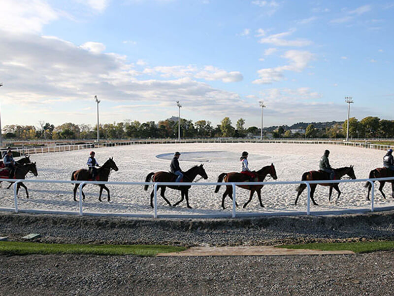 Pharmacie vétérinaire pour chevaux, chiens et chats à Cagnes-sur-Mer